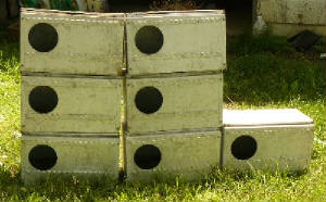 nestboxes.jpg